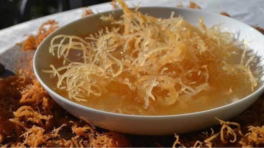 sea moss (Fascial Flow™ ingredient)